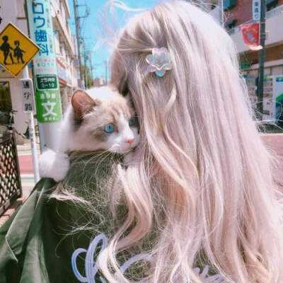 ManBetX客户端登录手机app下载