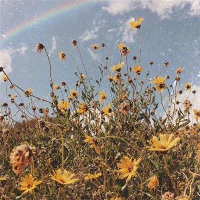 星空体育全站App