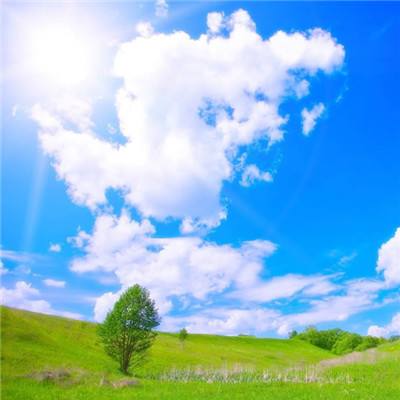 BOB体育最新版本下载