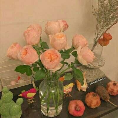 乐宝体育官网登录入口手机app下载