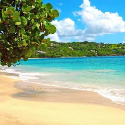 im电竞官方官网