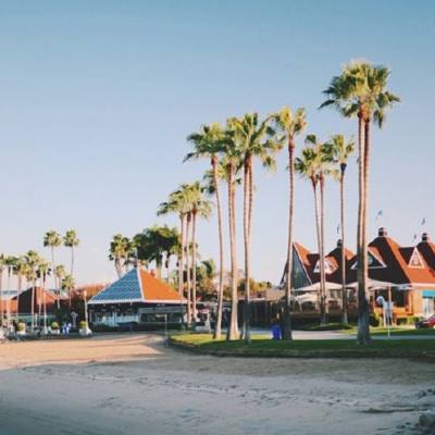 bd半岛·体育中国官方网站