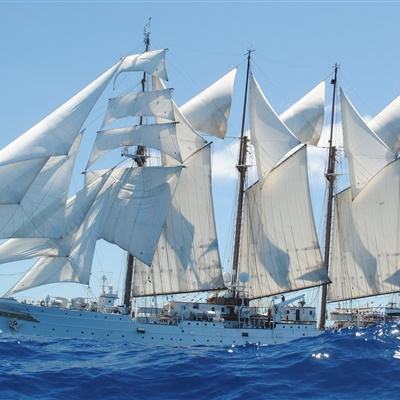 星空体育官方网站手机app下载