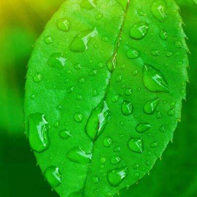 开云网kaiyun下载手机版