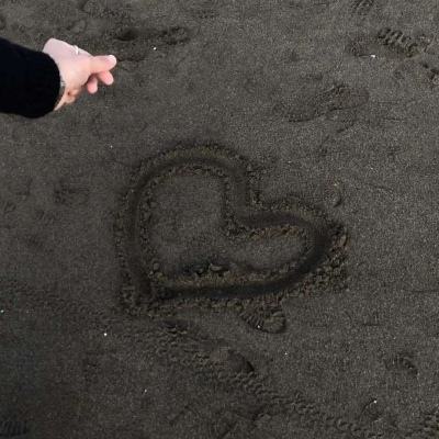 金年会app下载官网官方入口